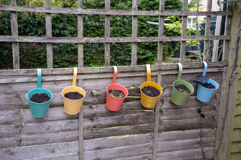 Verticaal geplaatste plantenpotten met heldere bloemen.