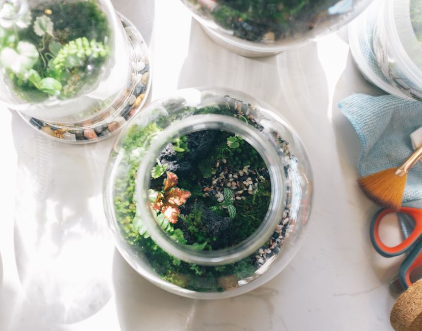 Op houten tafel staat een zelfgemaakt terrarium. Op houten tafel staat een zelfgemaakt terrarium.