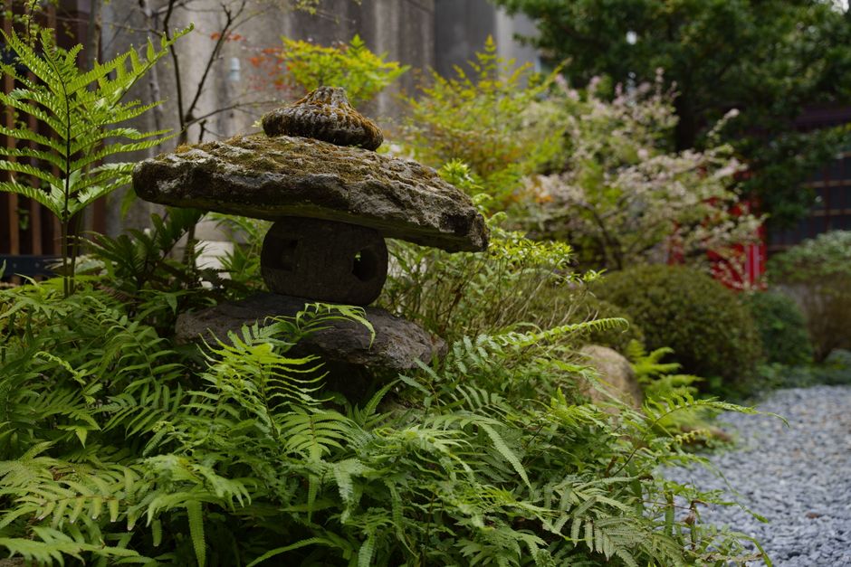 Rustgevende tuin met Japanse esdoorn. Rustgevende tuin met Japanse esdoorn.