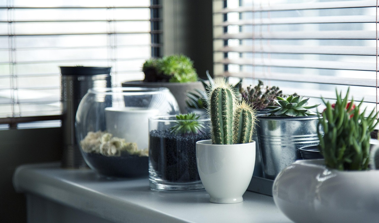 Vetplanten vormen groene buffer op balkon.