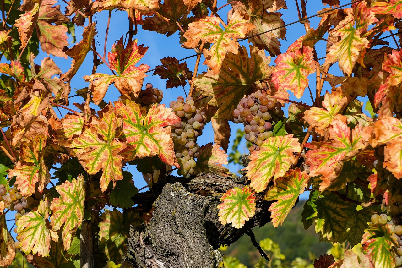 Felle herfstkleuren strepen in slaapkamer gordijnen.